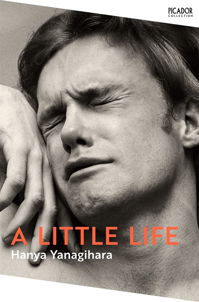 A Little Life - BookAla